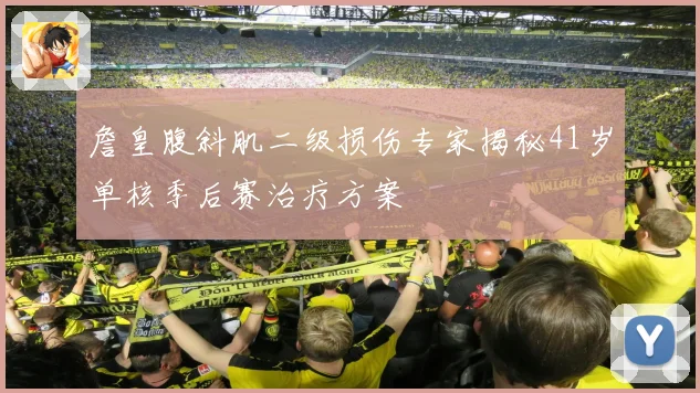 詹皇腹斜肌二级损伤专家揭秘41岁单核季后赛治疗方案